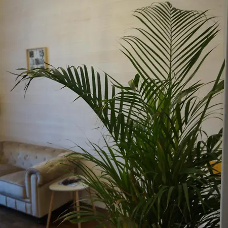 L'experience & Prive Apartment *
